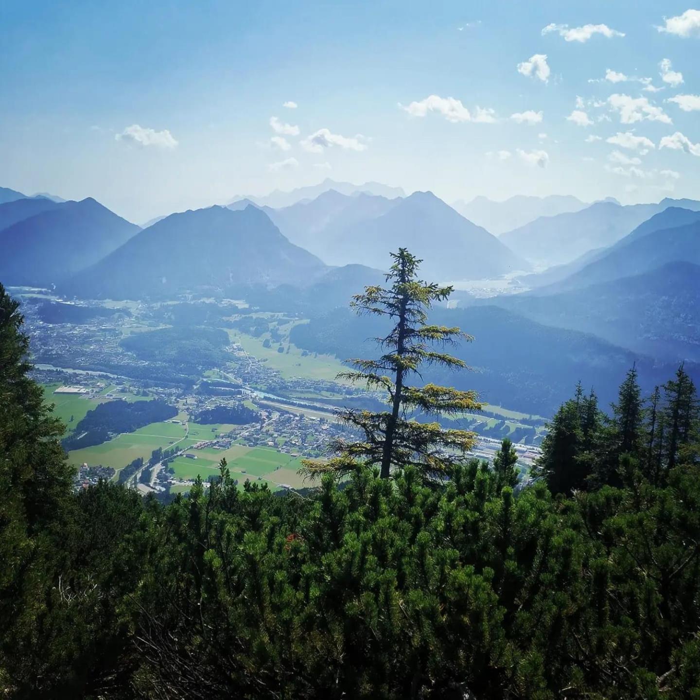 Alpapart Hornberg Höfen Exterior foto