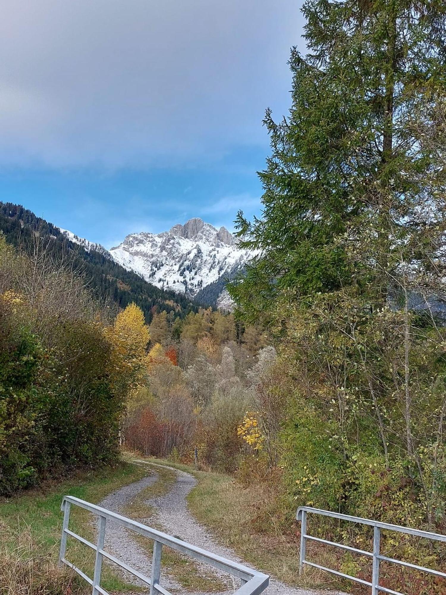 Alpapart Hornberg Höfen Exterior foto
