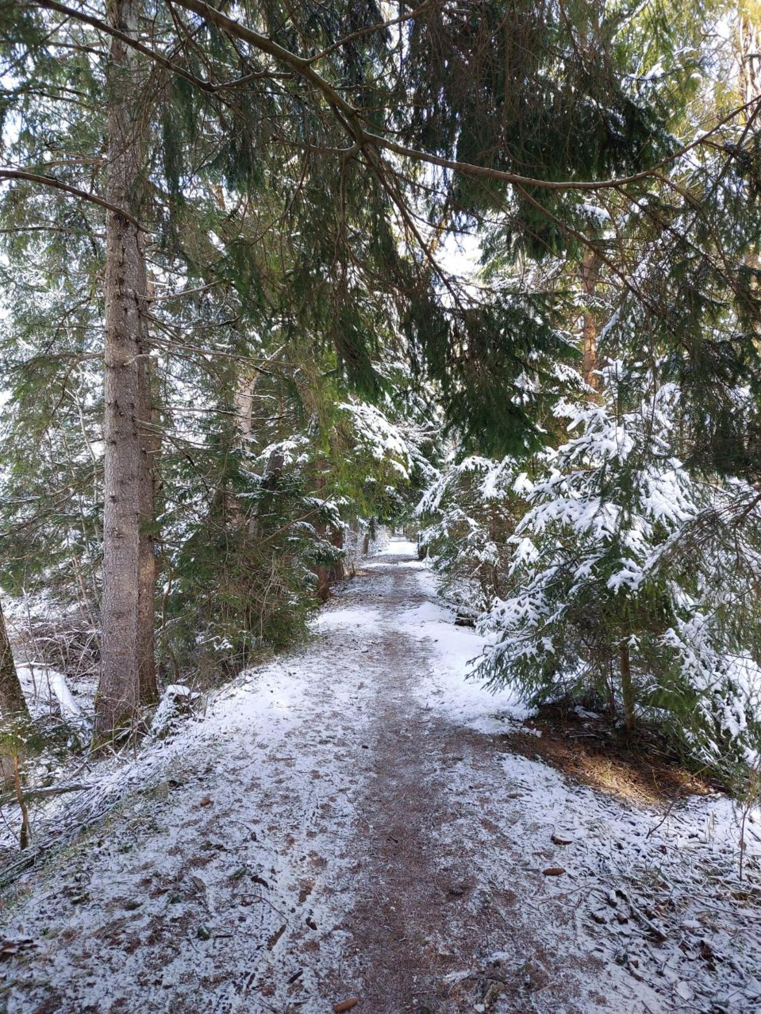 Alpapart Hornberg Höfen Exterior foto